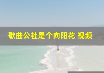 歌曲公社是个向阳花 视频